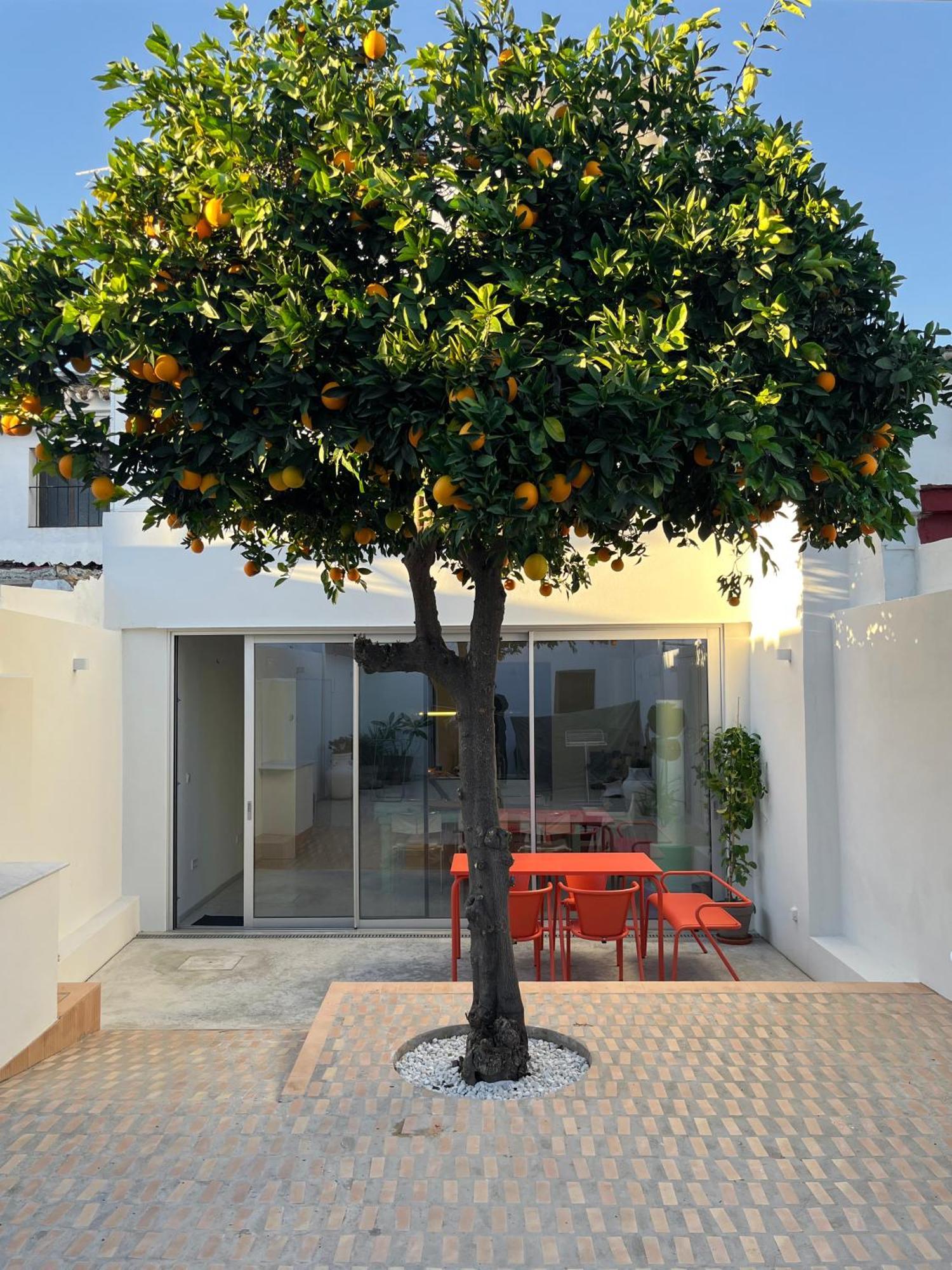 Design & Art, Patio With Orange Tree, Near Seville Carrion de Los Cespedes Экстерьер фото